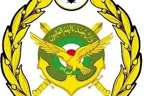 نیروی هوایی ارتش دنیا را شوکه کرد+فیلم 