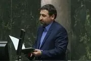 نماینده مجلس در دفاع از جمیله علم الهدی سنگ تمام گذاشت