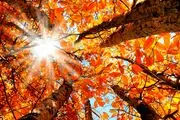 واکنش سازمان هواشناسی به شایعات درباره اشعه فرابنفش