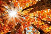 واکنش سازمان هواشناسی به شایعات درباره اشعه فرابنفش