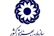 بهزیستی این کمک هزینه ها را به مددجویان پرداخت می کند!