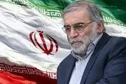 واکنش پسر شهید فخری زاده به سواستفاده از گفته‌هایش علیه عراقچی
