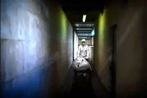 این دانشگاه اجساد را برای آموزش در اختیار ارتش اسرائیل قرار می‌دهد
