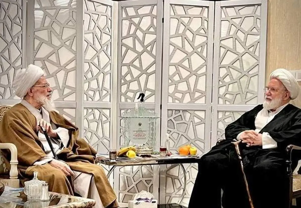 آیت الله بیات‌ زنجانی با مهدی کروبی دیدار کرد 