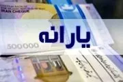 معترضان یارانه توجه کنند؛ واریزی شما قابل برداشت نیست