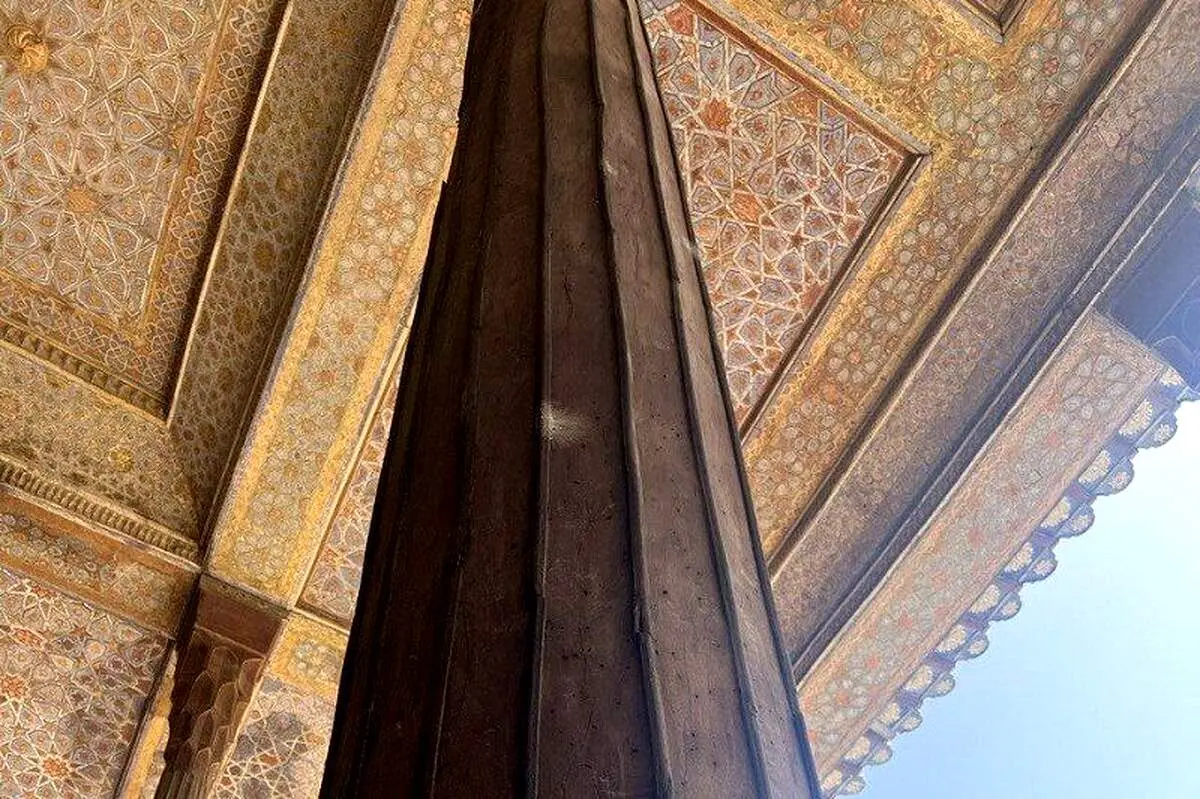 حمله سوسک های چوب خوار به چهلستون ! + عکس و توضیح میراث فرهنگی

