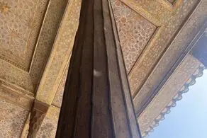 حمله سوسک های چوب خوار به چهلستون ! + عکس و توضیح میراث فرهنگی

