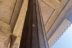 حمله سوسک های چوب خوار به چهلستون ! + عکس و توضیح میراث فرهنگی

