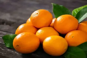 اگر این میوه‌ها رو بخورید هرگز فراموشی نمی‌گیرید!