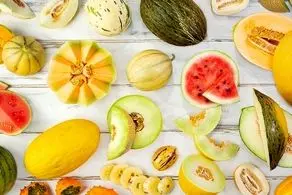 میوه ای که از ترکیب گوجه و سیب زمینی تولید شد+ عکس
