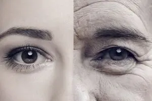 آیا می دانید این عضو بدن زودتر پیر می‌شود!