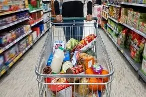 کالابرگ امروز شنبه قابل برداشت است/ فروشگاه‌های مجاز برای خرید کالابرگ الکترونیکی