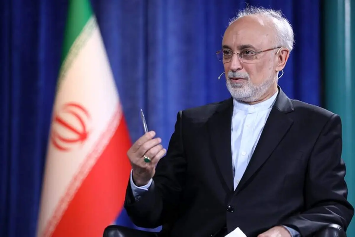علیاکبر صالحی به سعید جلیلی: مگر شما خودتان را در محضر خدا نمیبینید؟