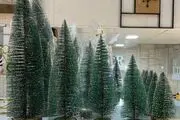 پرنده عجیبی که از وسط درخت کریسمس سرش را بیرون درآمد+ عکس