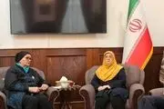 دیدار مهاجرانی و وزیر خارجه پیشین بوسنی 