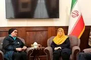 دیدار مهاجرانی و وزیر خارجه پیشین بوسنی 