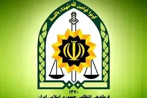 توقیف محموله سنگین سلاح و نارنجک دستی در مرزهای کشور