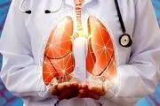  قسمت حیاتی ریه ها چگونه تشکیل می شود؟