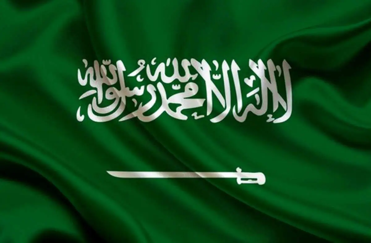 خرد پرنده در عربستان به پرواز درآمد+فیلم