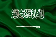 چند توئیت انتقادی 34 سال زندان برای این فعال آب خورد 