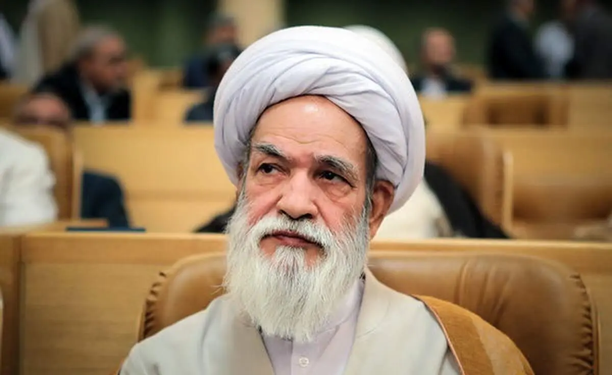 حدود 250 نماینده داریم اگر من نباشم کشور تعطیل می‌شود  شغل زیاد است افراد جای دیگر خدمت کنند  