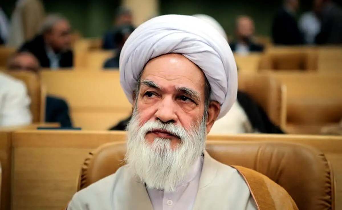 حدود 250 نماینده داریم اگر من نباشم کشور تعطیل می‌شود  شغل زیاد است افراد جای دیگر خدمت کنند  