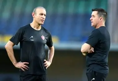 خرید یحیی عصای دست کاناوارو