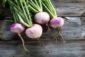 این سبزی آنتی‌بیوتیک طبیعی و ضد کرونا است
