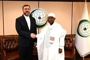 ایران در ماه‌های آینده میزبان کنفرانس «جنبش جهانی حمایت از خانواده» خواهد بود