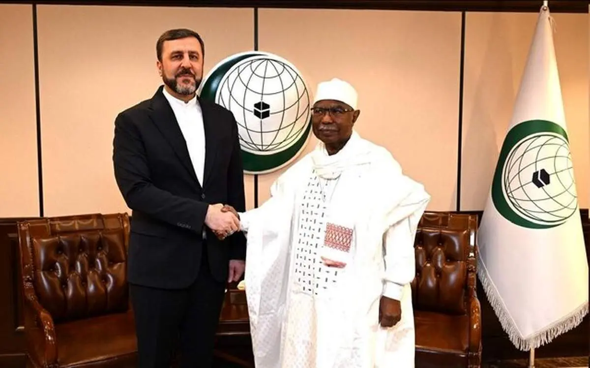 ایران در ماه‌های آینده میزبان کنفرانس «جنبش جهانی حمایت از خانواده» خواهد بود